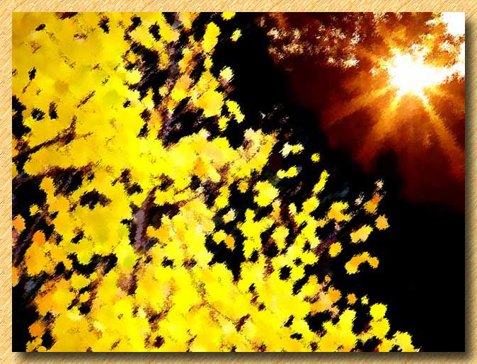 Fall Days in the Foothills