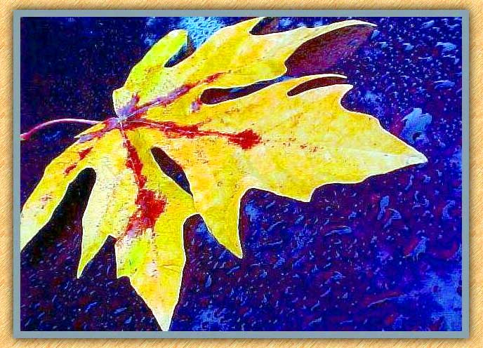 November Leaf