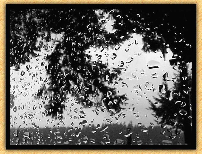 Widow Pane Rain
